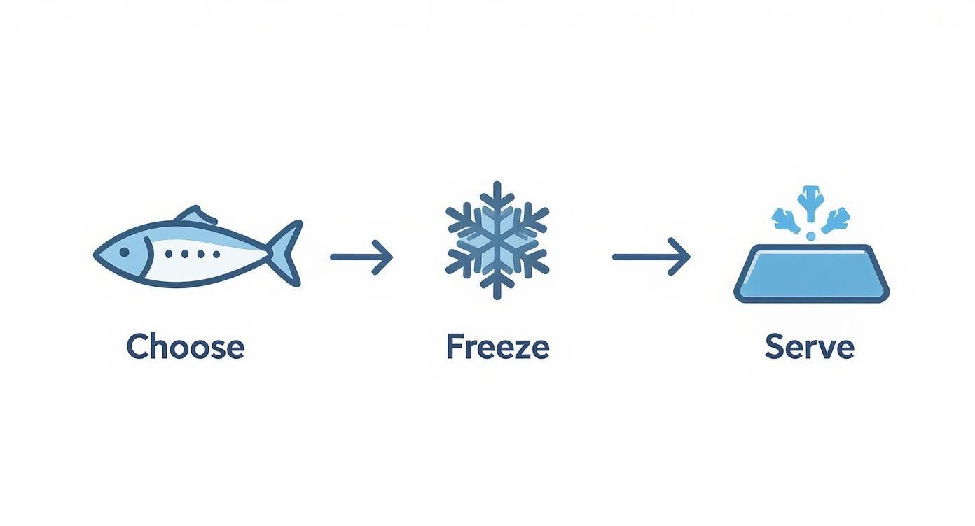 Infographic about raw fish dog food
