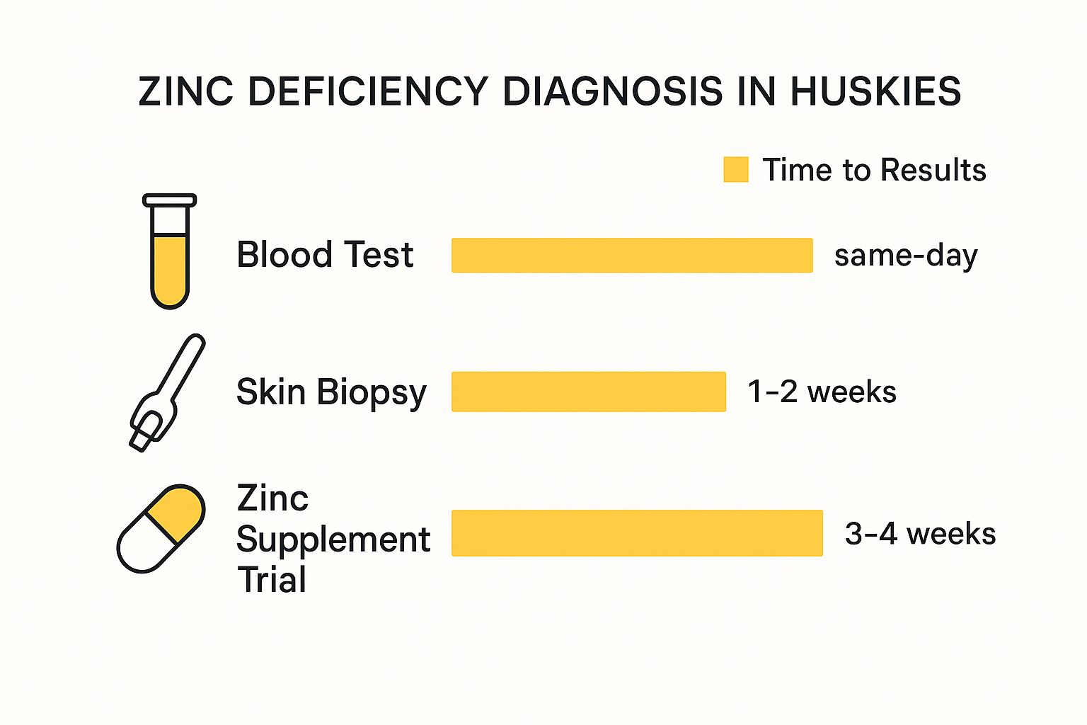 An infographic showing the timelines for diagnosing zinc deficiency in Huskies, comparing Blood Tests, Skin Biopsies, and Supplement Trials.