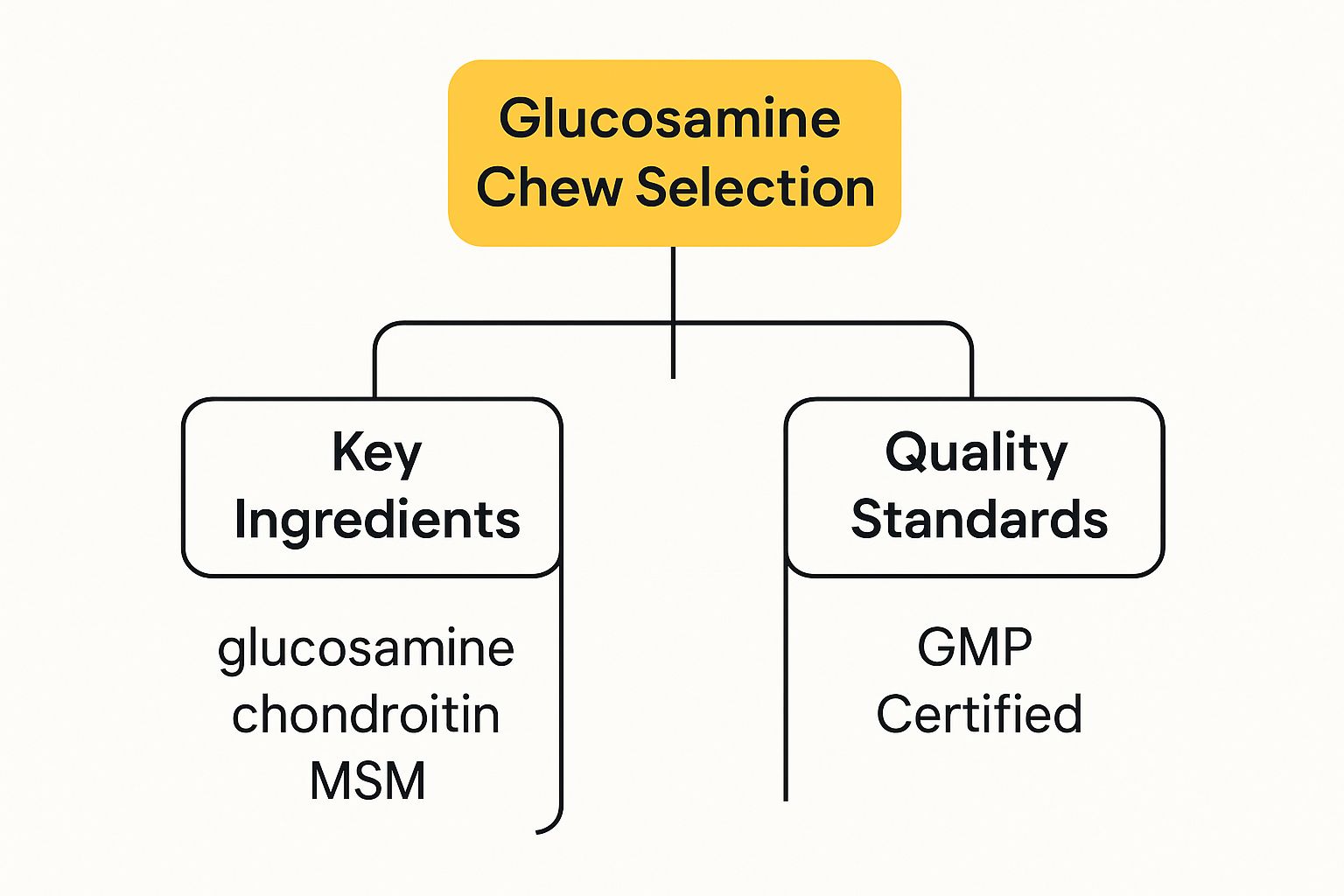 Infographic about glucosamine dog chews