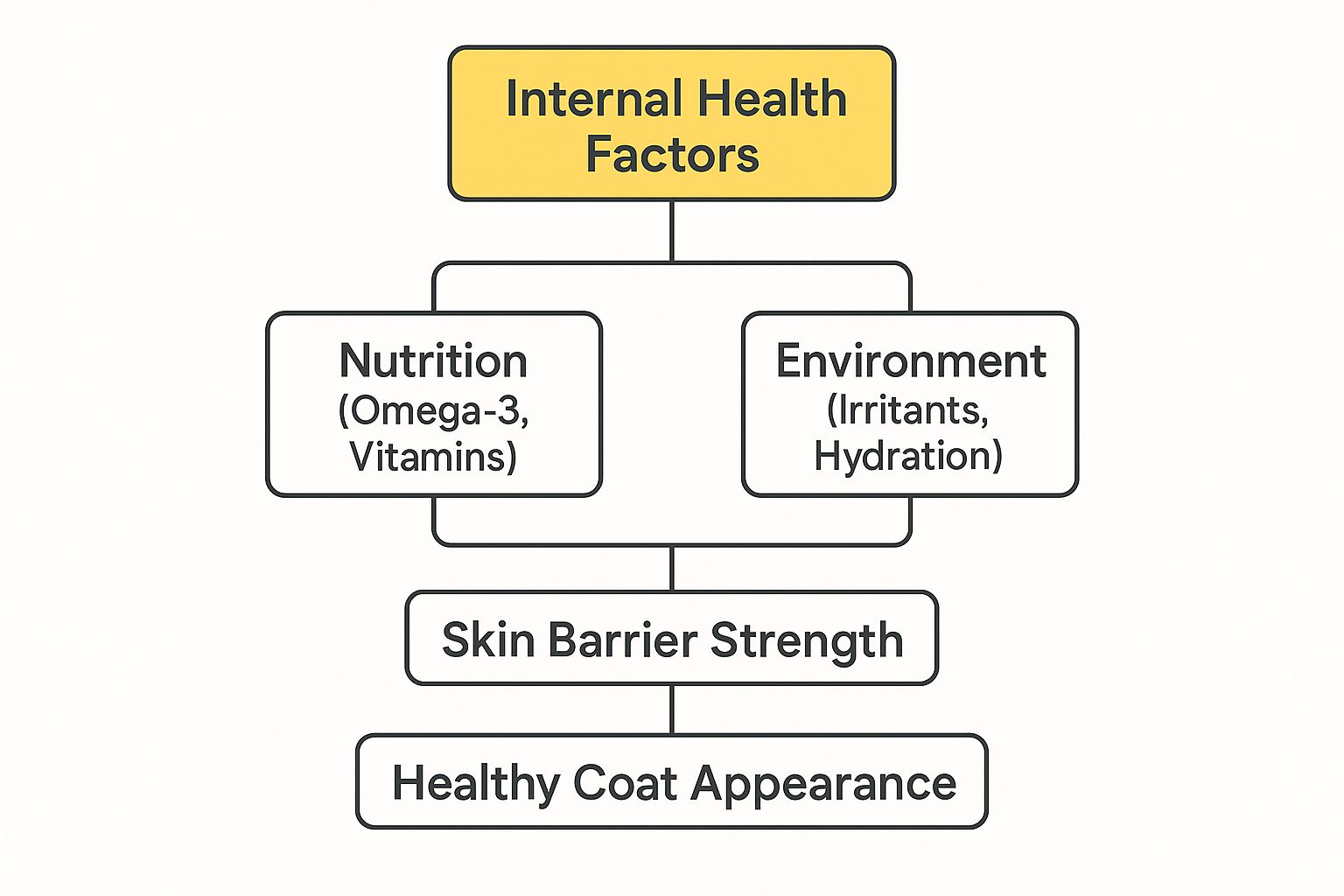 Infographic showing how internal health factors lead to a healthy coat appearance