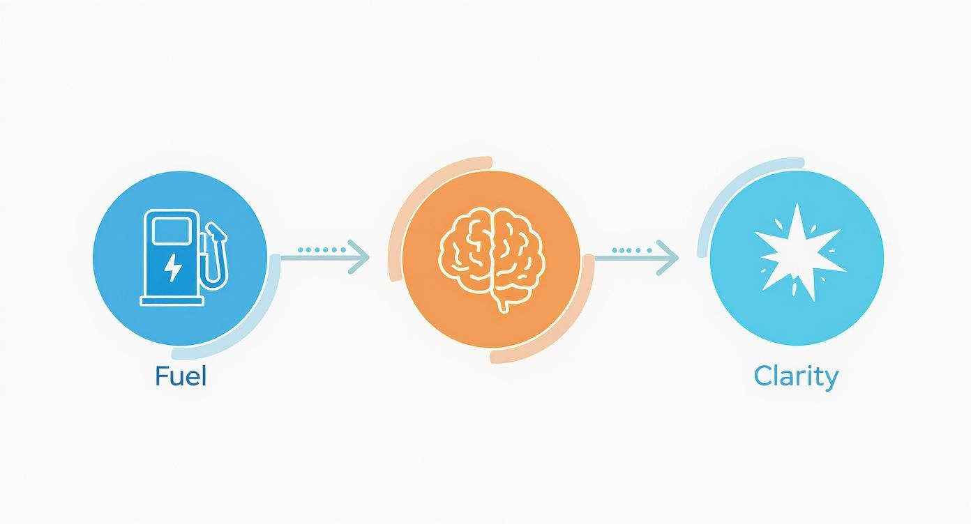 Infographic about supplements for dog dementia