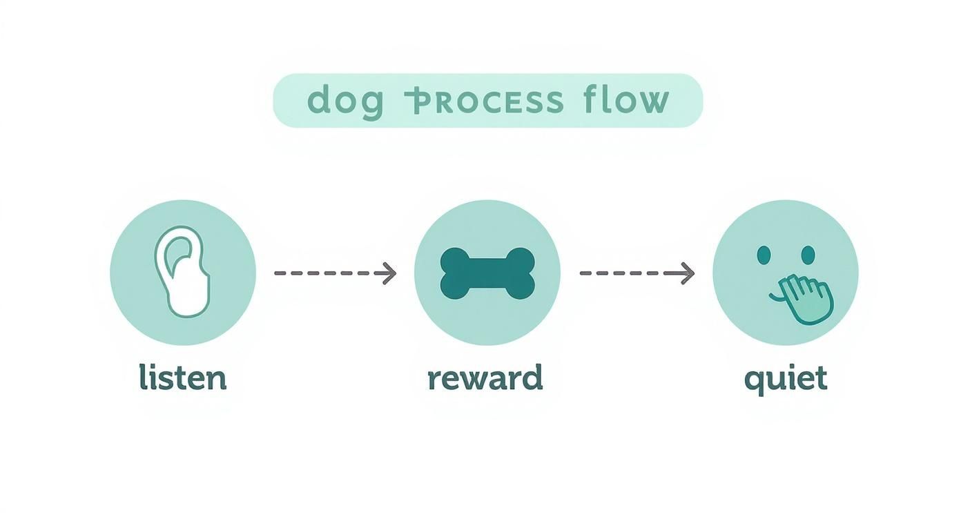 Infographic about dog barking all night