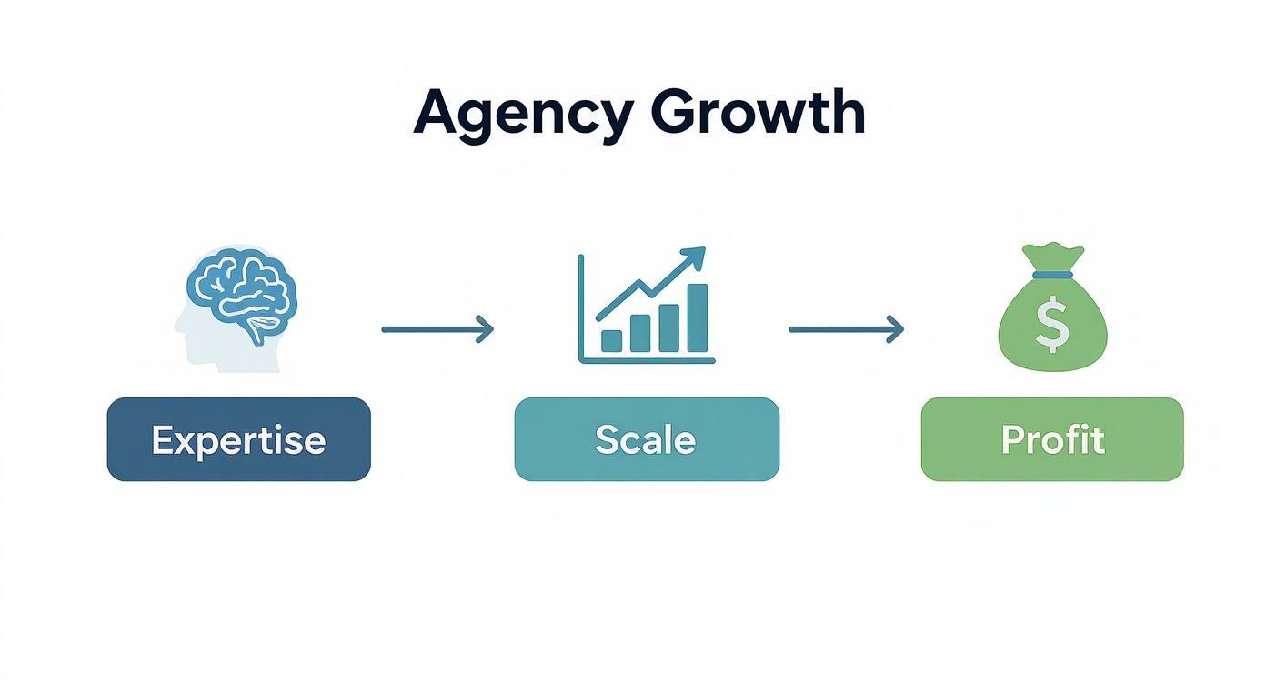 Infographic about white label social media services