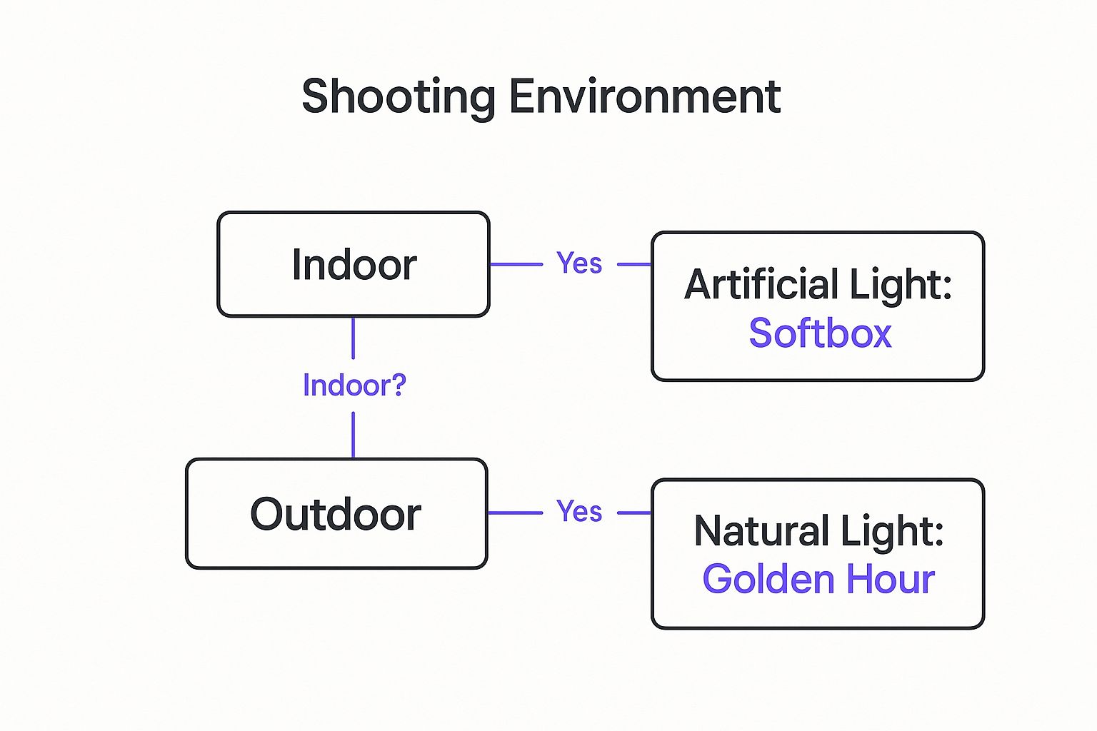 Infographic about professional photography lighting setup