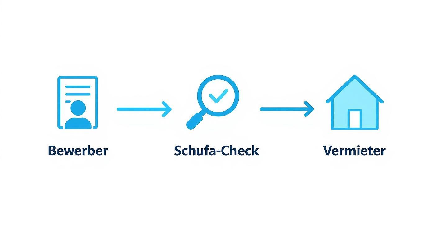 Infografik, die den dreistufigen Prozess des Vertrauensaufbaus zwischen Bewerber und Vermieter durch einen Schufa-Check darstellt.