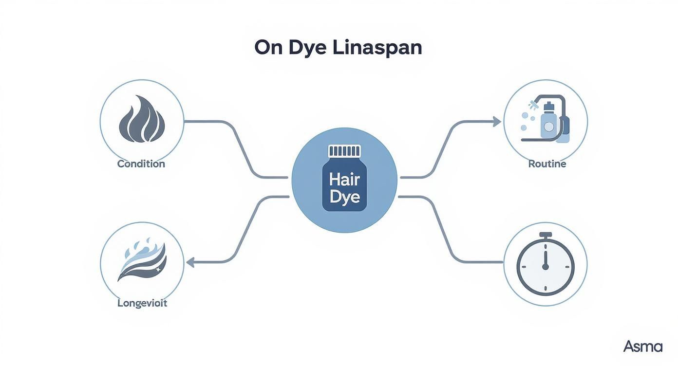 Infographic about how long does semi permanent hair dye last