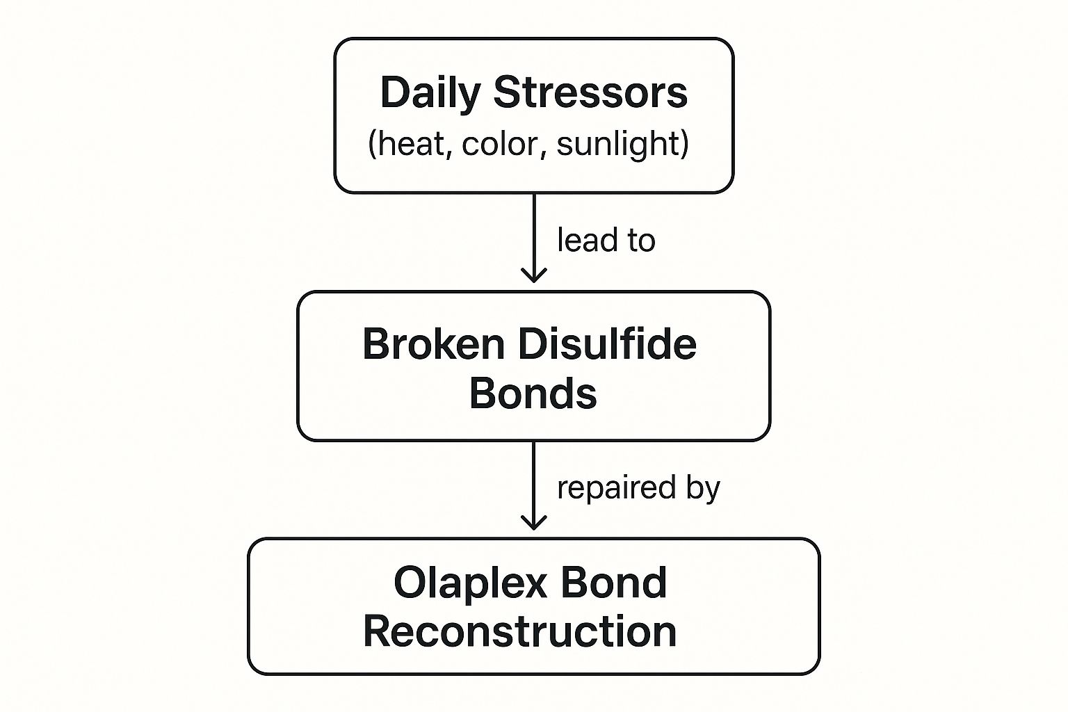 Infographic about what is olaplex treatment