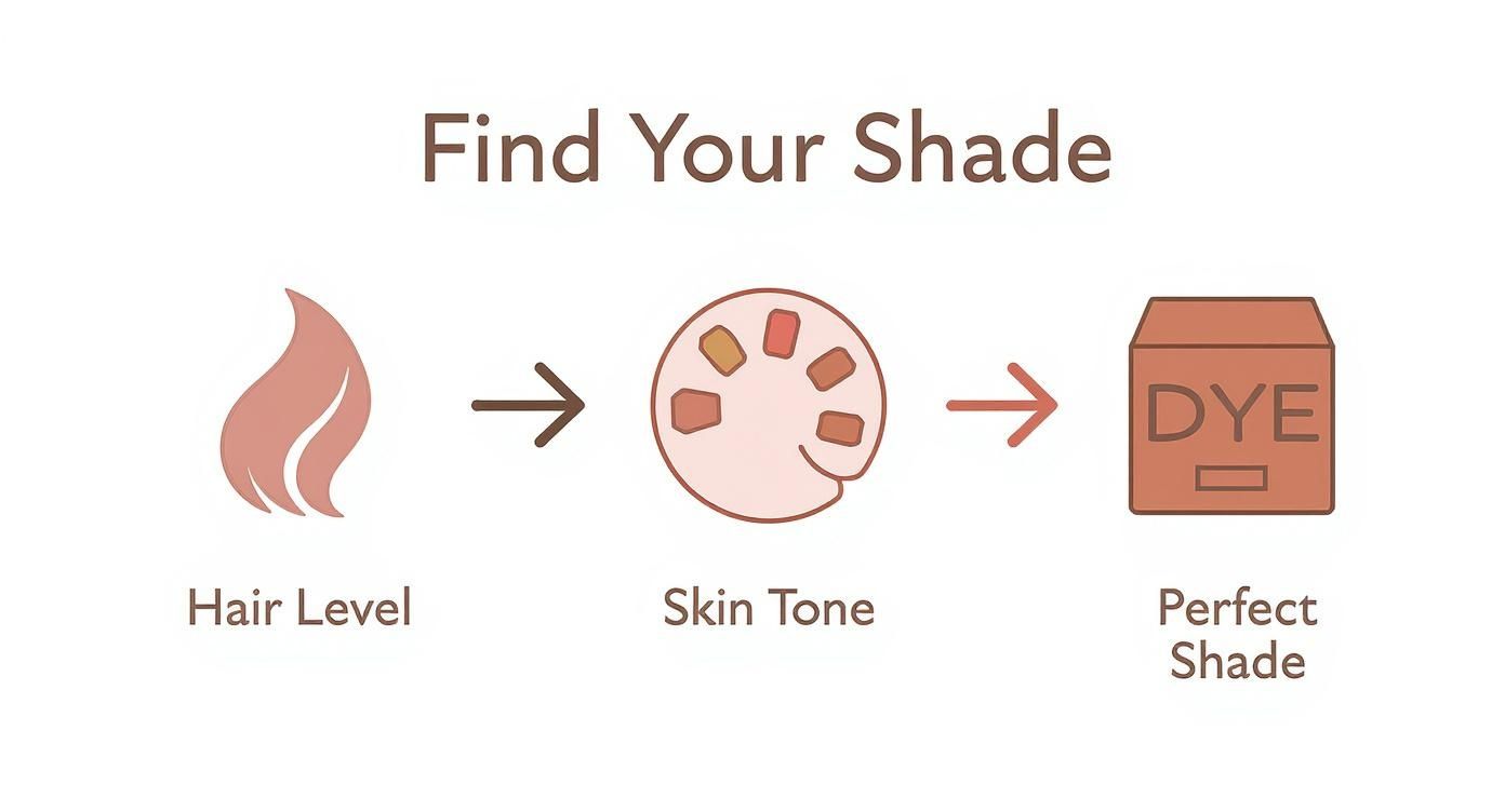 Infographic about non ammonia hair dye