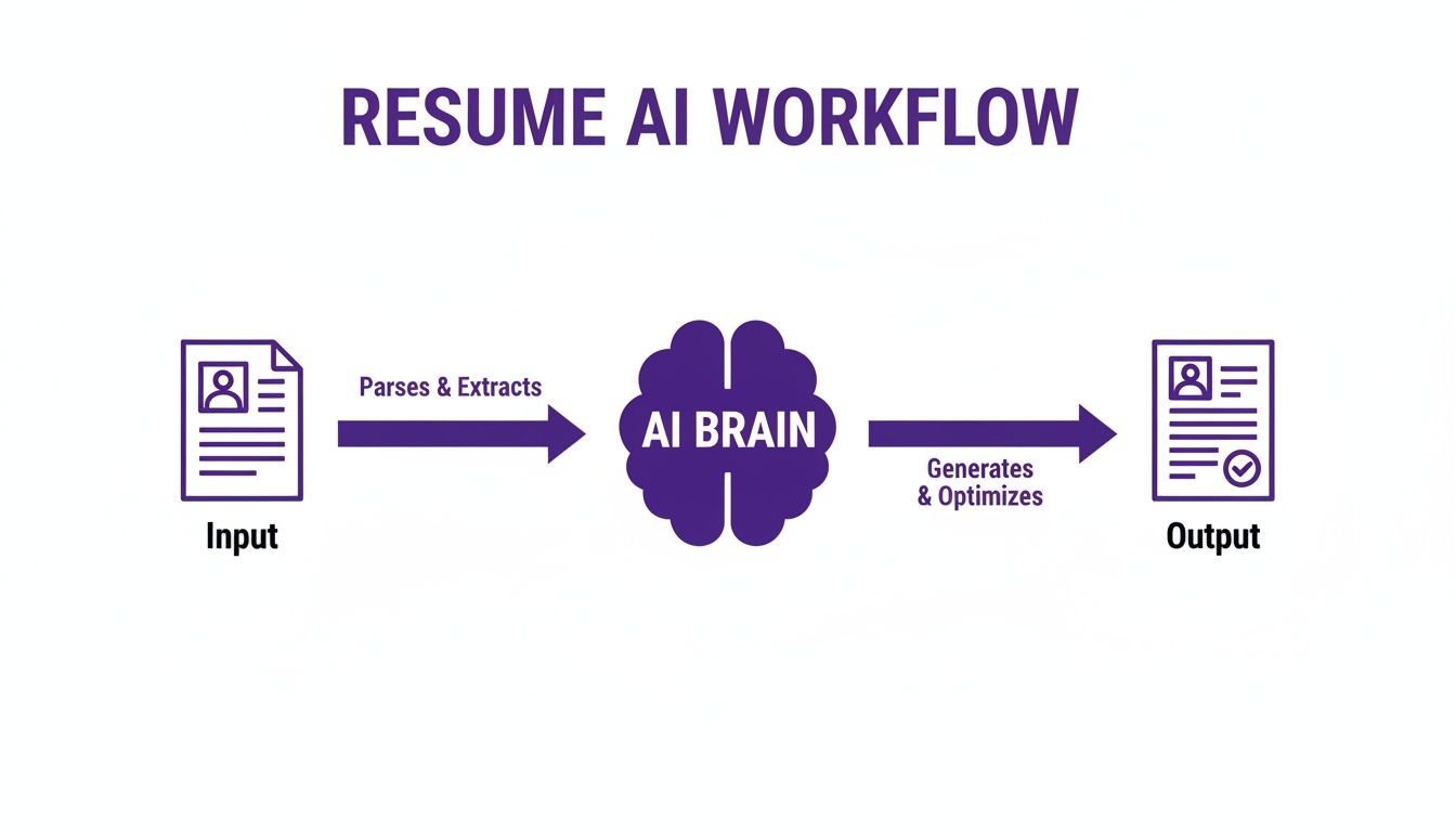 Diagram illustrating a resume AI workflow: input resume, AI processing (parses, extracts, generates, optimizes), and output optimized resume.