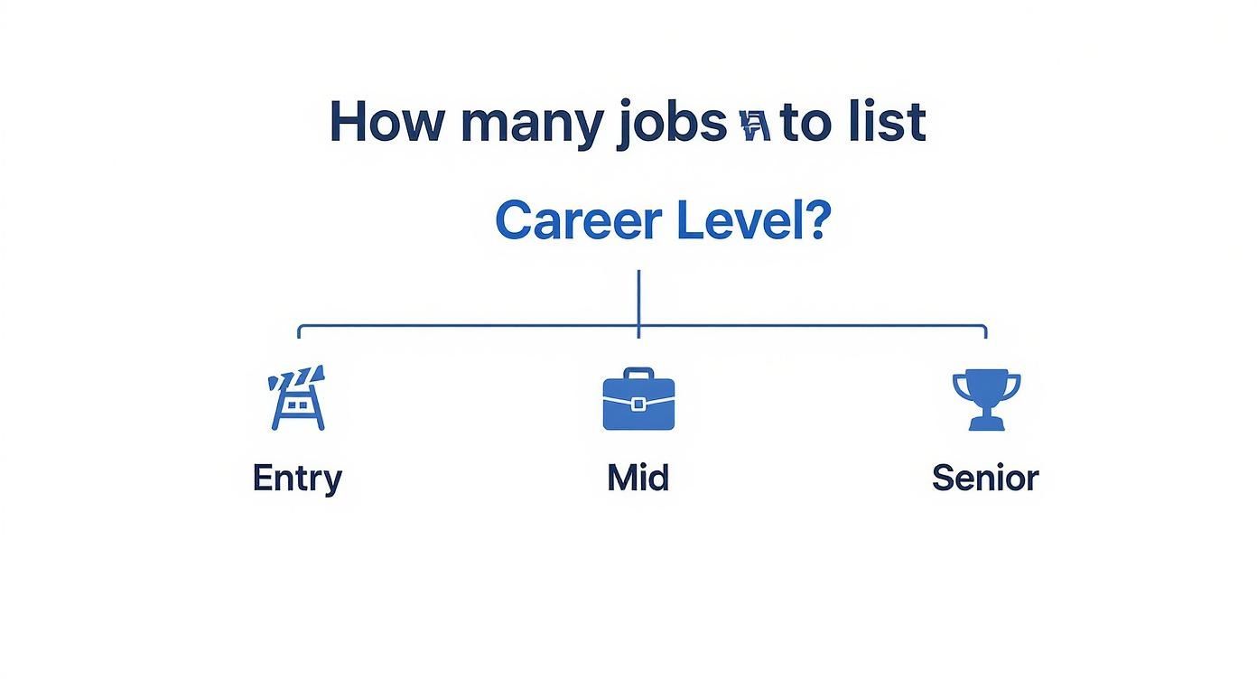 Infographic about how many jobs to list on resume