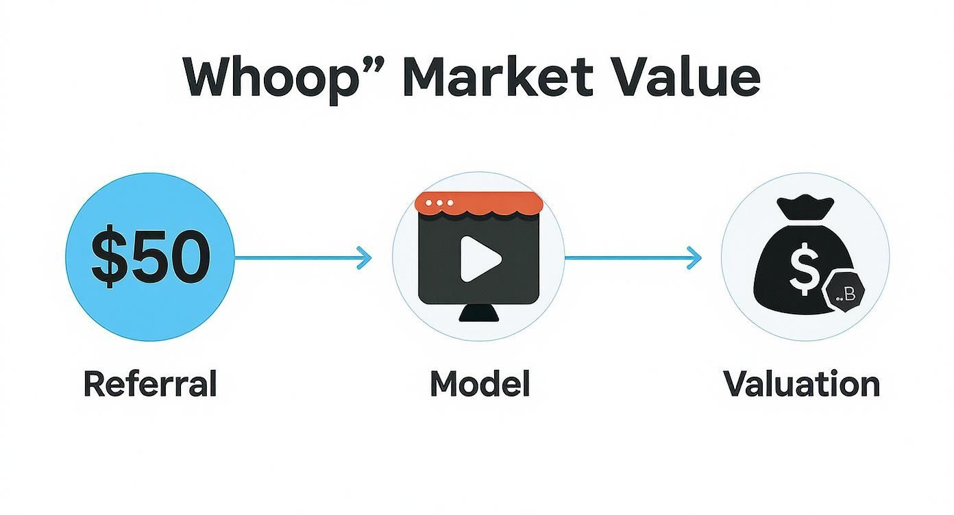 Infographic about whoop affiliate program review