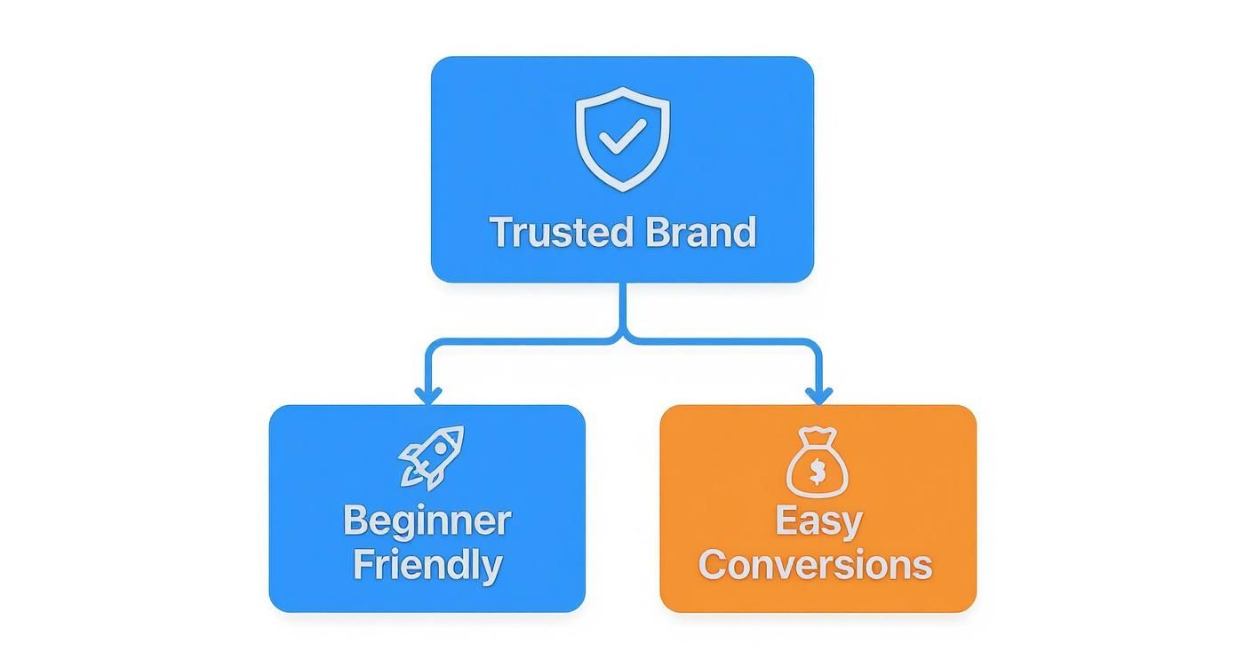 Infographic about namecheap affiliate program review