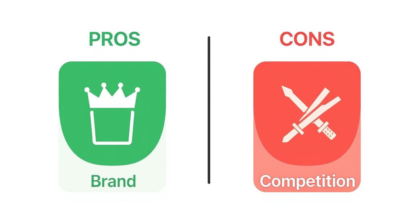 Infographic about muscle nation affiliate program review