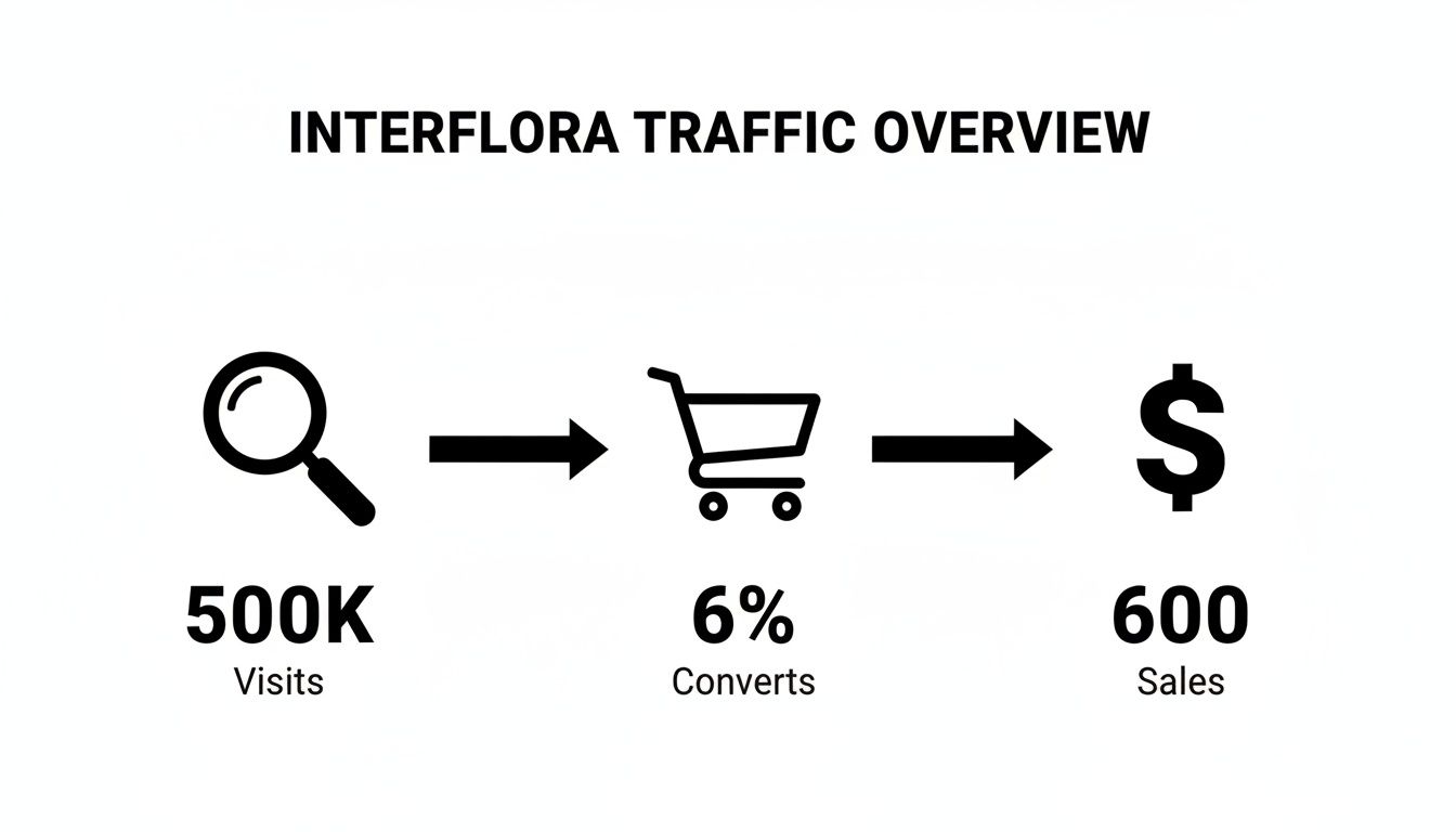 An overview of Interflora's traffic funnel, showing 500K visits, 6% converts, and 600 sales.