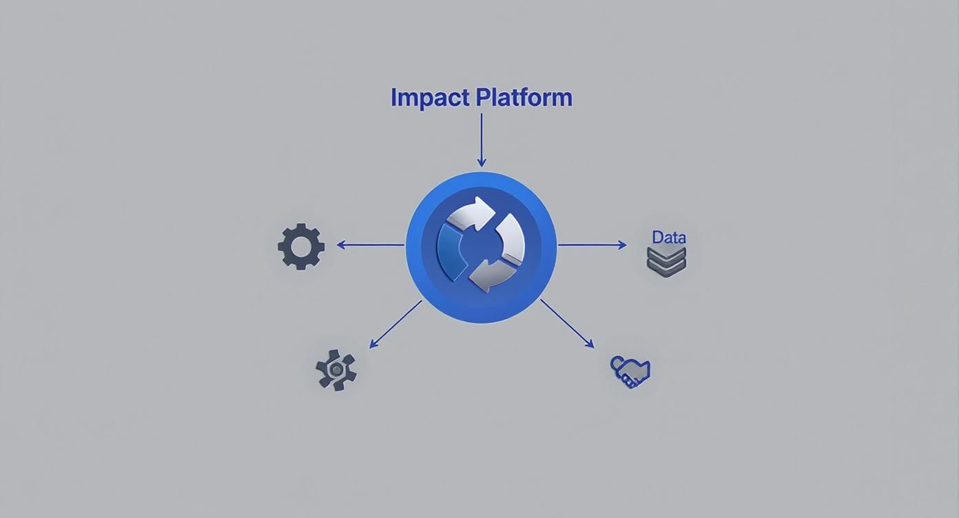 Infographic about impact affiliate network review