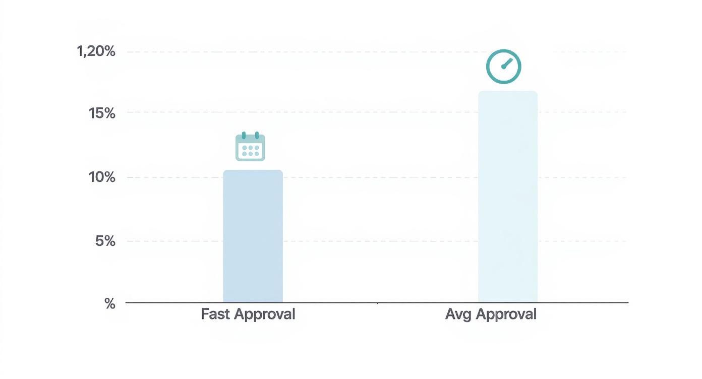 Infographic about temu affiliate program review
