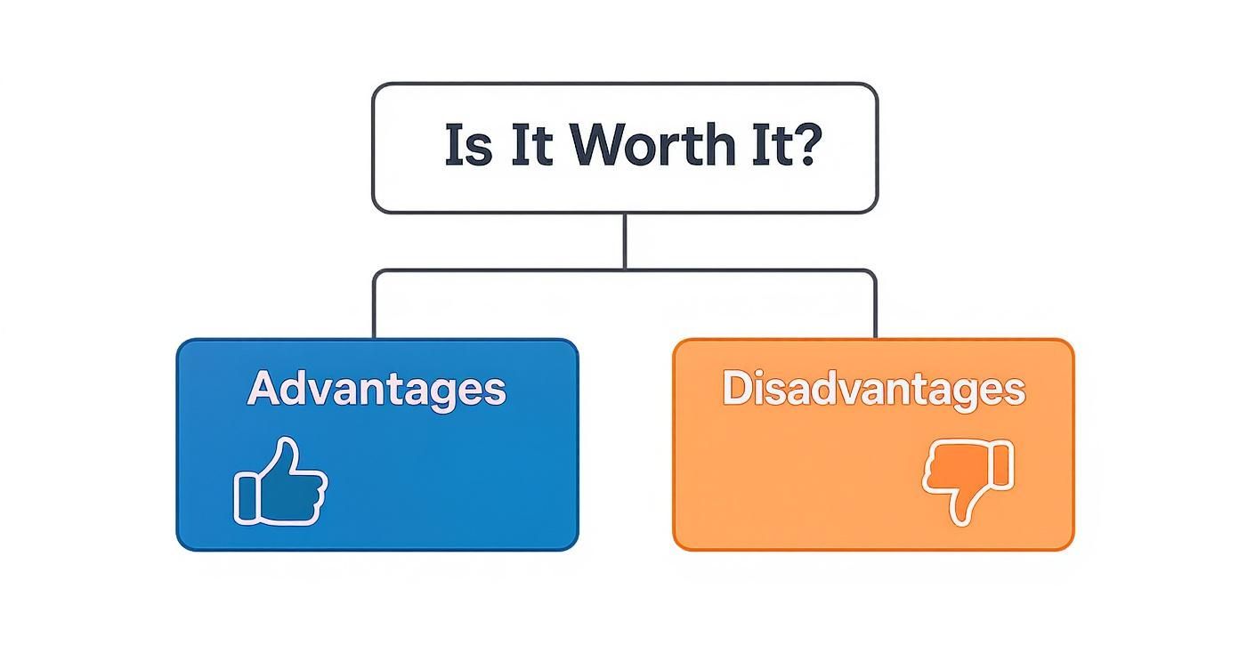 Decision flowchart illustrating "Is It Worth It?" with "Advantages" (thumbs up) and "Disadvantages" (thumbs down).