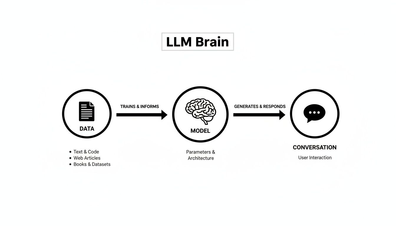 Diagram illustrating the LLM Brain process: data trains a model, which then generates and responds in conversations.