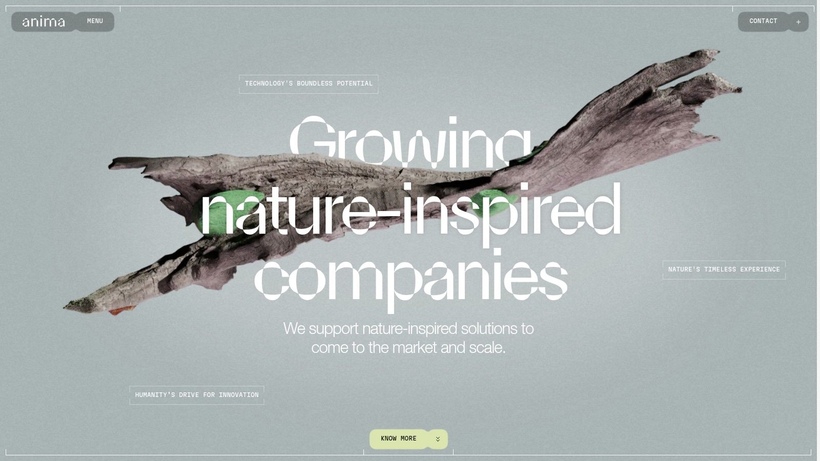 Anima: AI Friend & Companion
