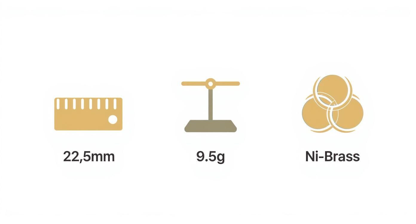 Infographic about old pound coin
