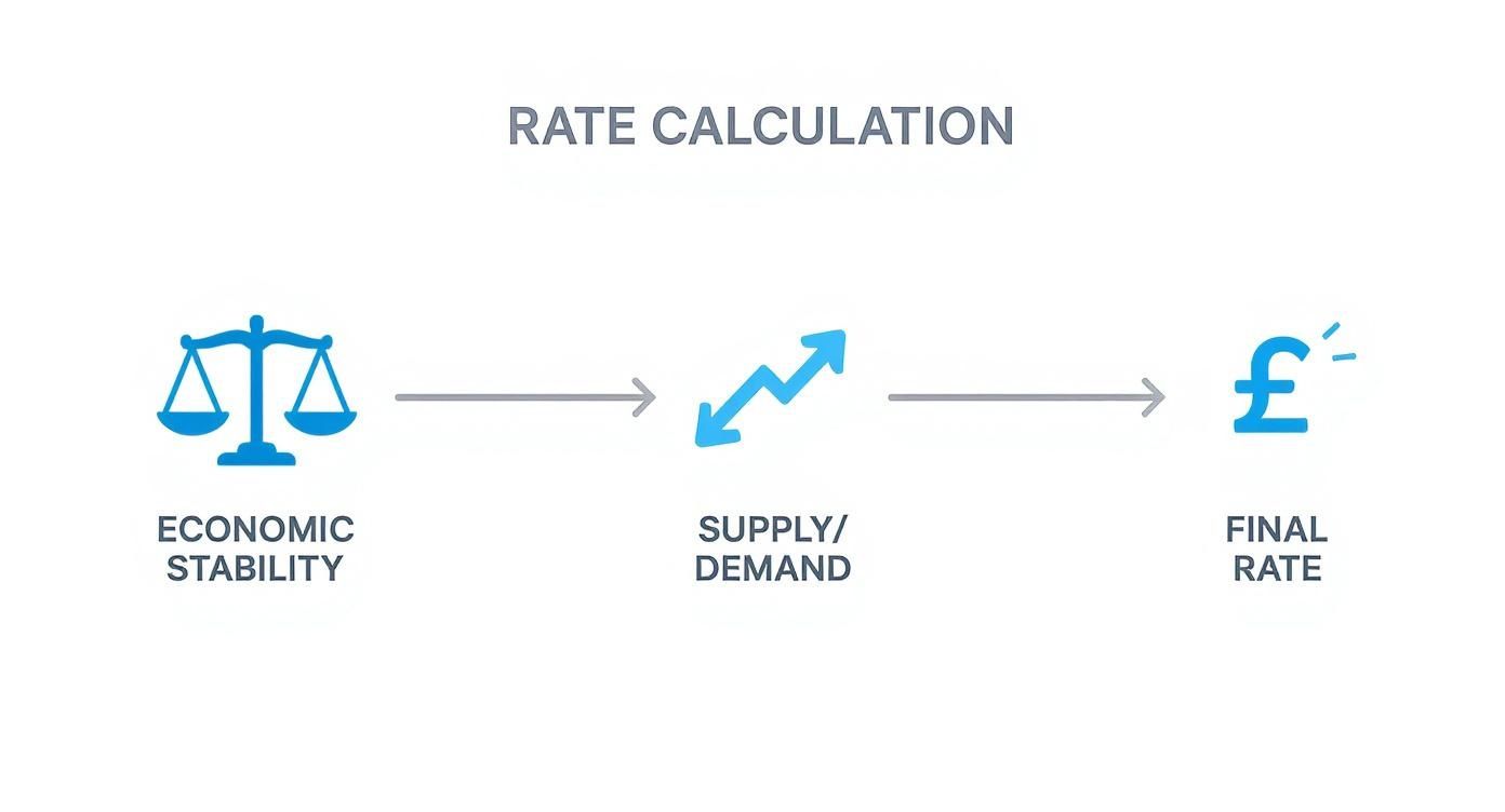 Diagram showing how economic stability and supply/demand influence the final currency exchange rate.
