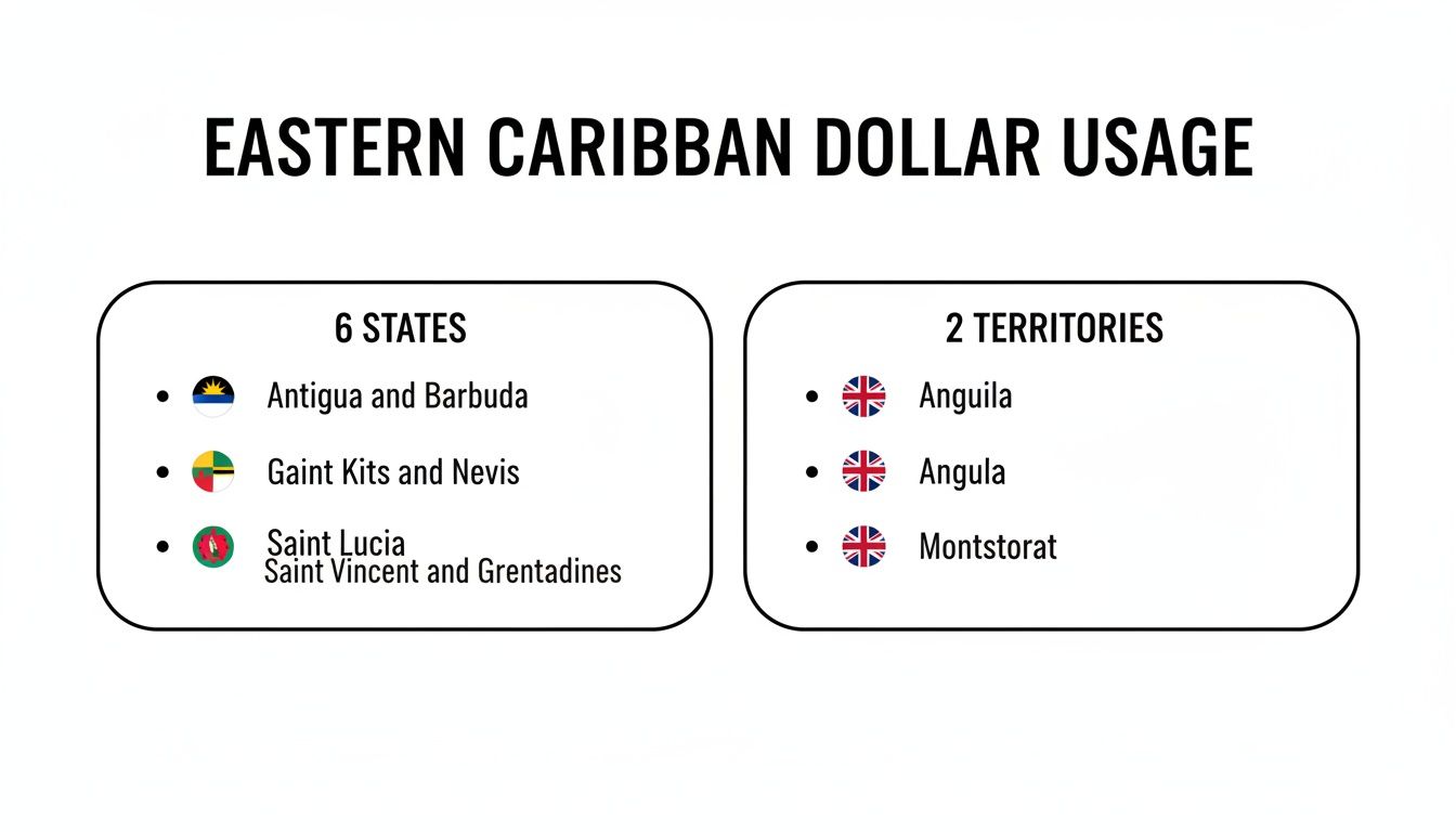 Infographic showing Eastern Caribbean Dollar usage in 6 states and 2 territories, listing countries like Antigua and Barbuda, Saint Lucia, and Anguilla.