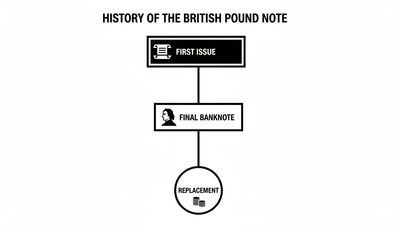 Flowchart detailing the history of the British Pound Note, from its first issue to replacement.