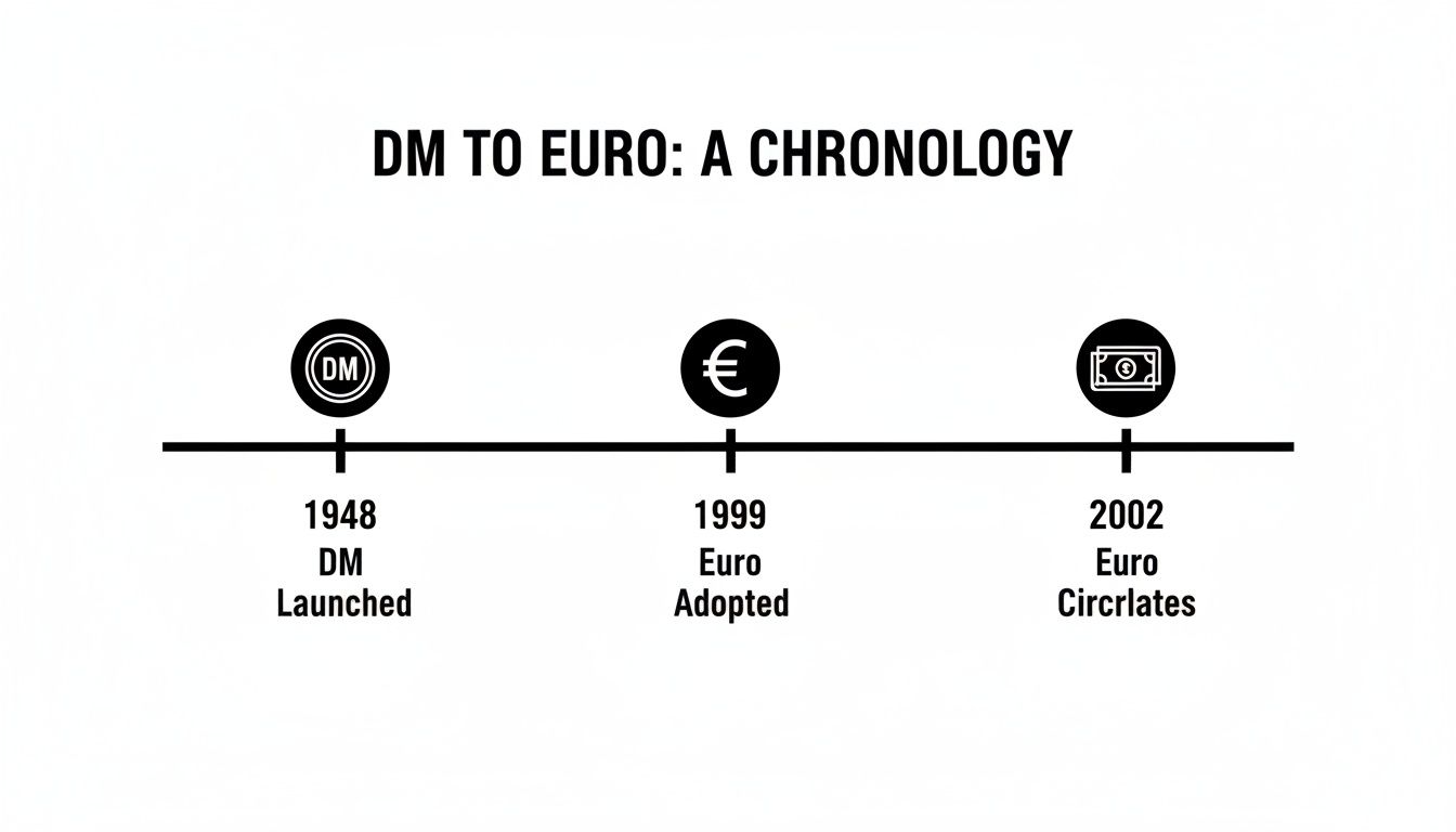 A timeline depicting the chronological transition of German currency from Deutsche Mark (DM) to Euro.