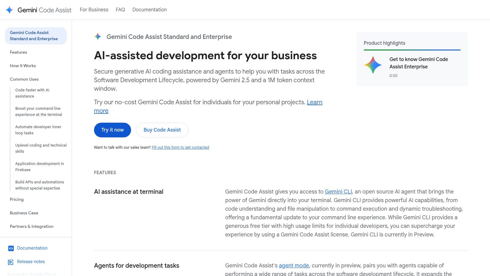 Gemini Code Assist (Google Cloud)