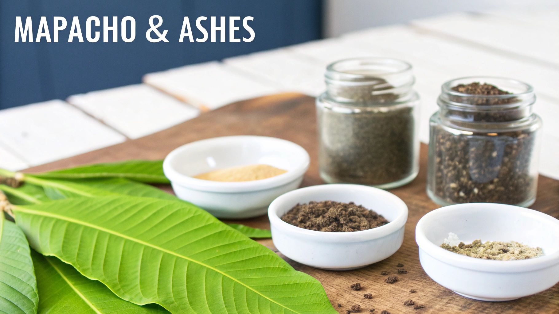 Mapacho leaves, various ground plant materials, and ashes displayed in bowls and jars.