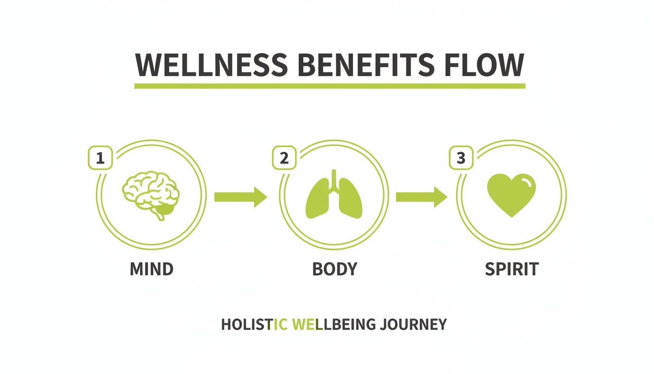 Wellness benefits flow diagram showing mind (brain), body (lungs), and spirit (heart) connected in a holistic journey.