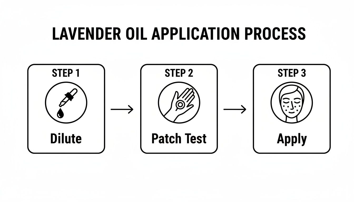 Infographic showing three steps for lavender oil application: dilute, patch test, and apply.