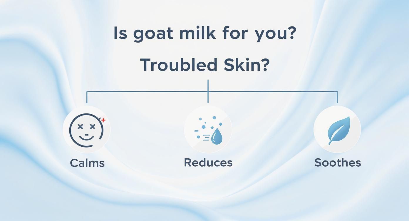 Infographic asking if goat milk is for troubled skin, showing it calms, reduces, and soothes.