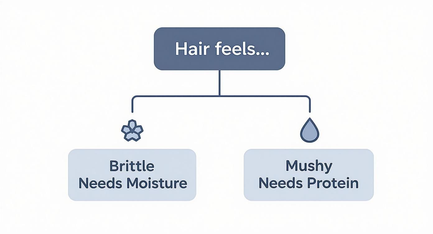 A flowchart for hair care, showing that brittle hair needs moisture and mushy hair needs protein.