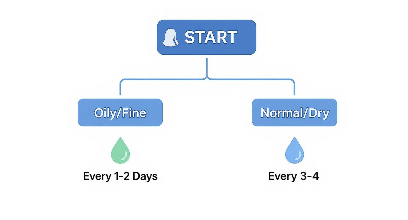 Flowchart showing hair washing frequency: oily/fine hair every 1-2 days, normal/dry hair every 3-4 days.