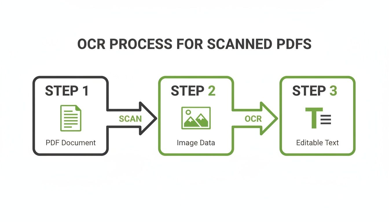 A three-step flowchart illustrating the OCR process to convert scanned PDF documents into editable text.