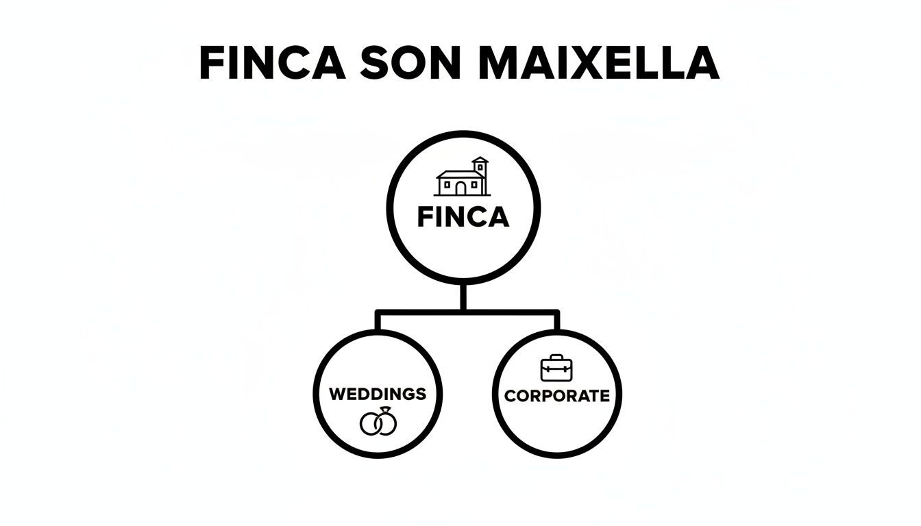 Diagram for Finca Son Maixella, showing Finca as the main service, with branches for weddings and corporate events.