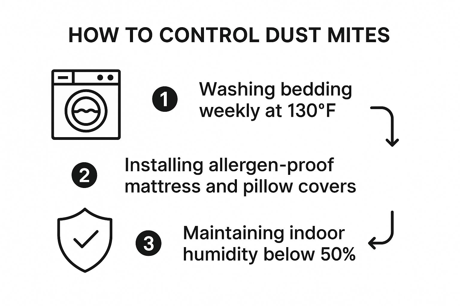 Infographic showing key data about Dust Mites