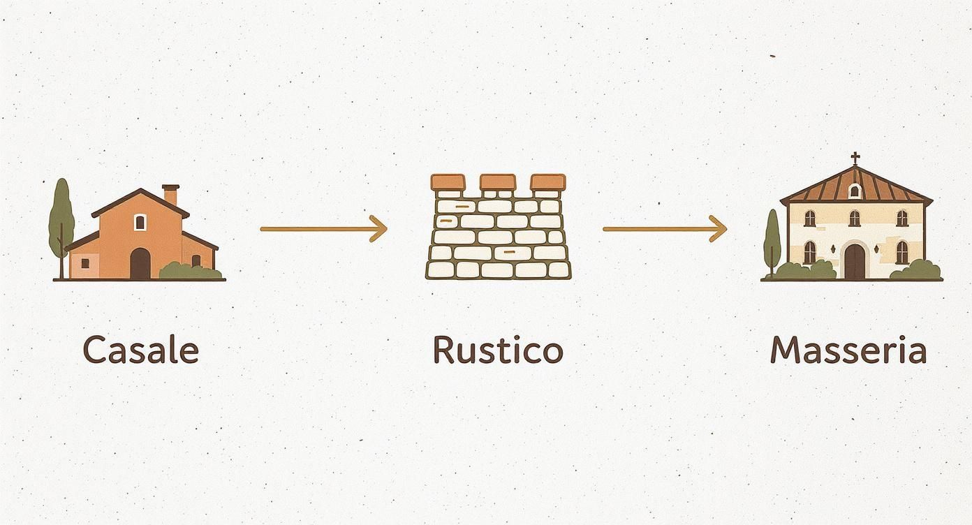 Illustrations showing a progression of Italian rural architecture: Casale, Rustico (stone wall), and Masseria (fortified farm).