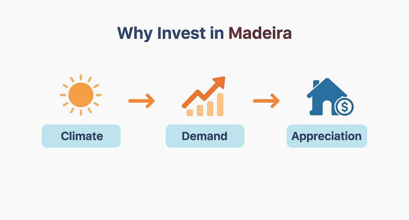 Infographic about buying property in madeira