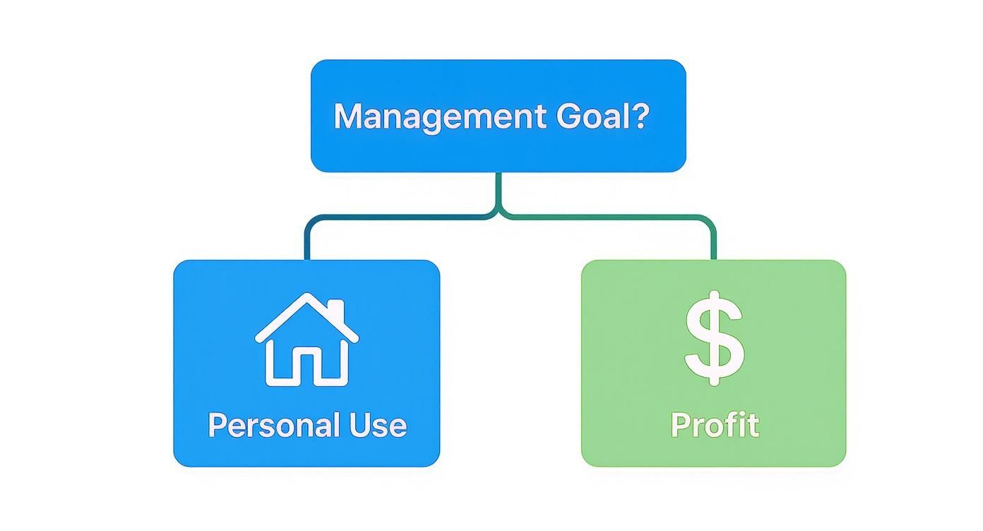 Infographic about vacation home vs investment property