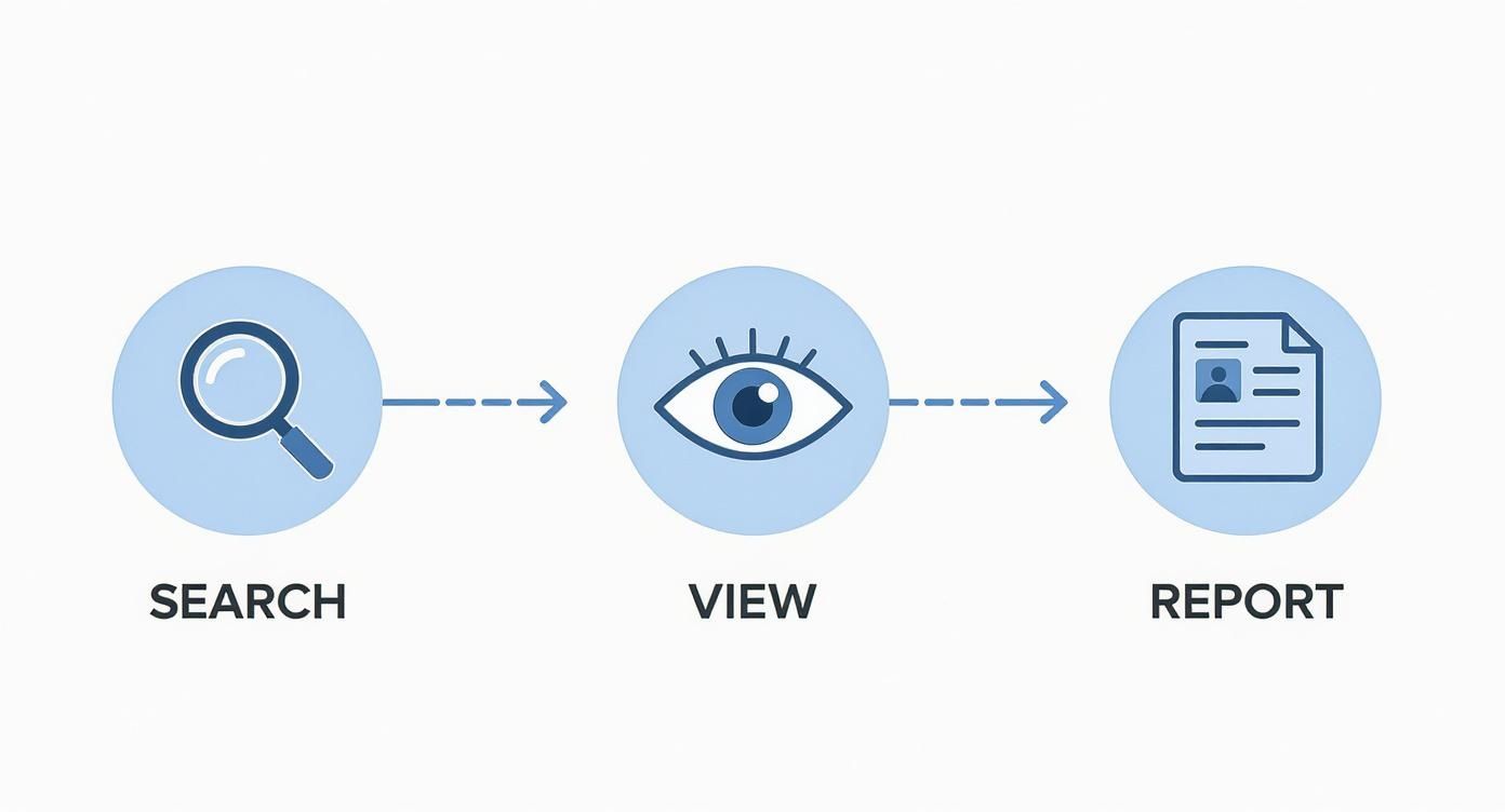 Infographic about buying property in south of france