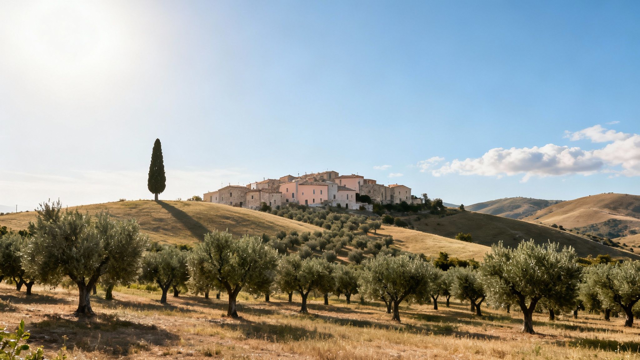 A charming Italian hilltop village surrounded by olive groves and rolling hills under a bright sky.