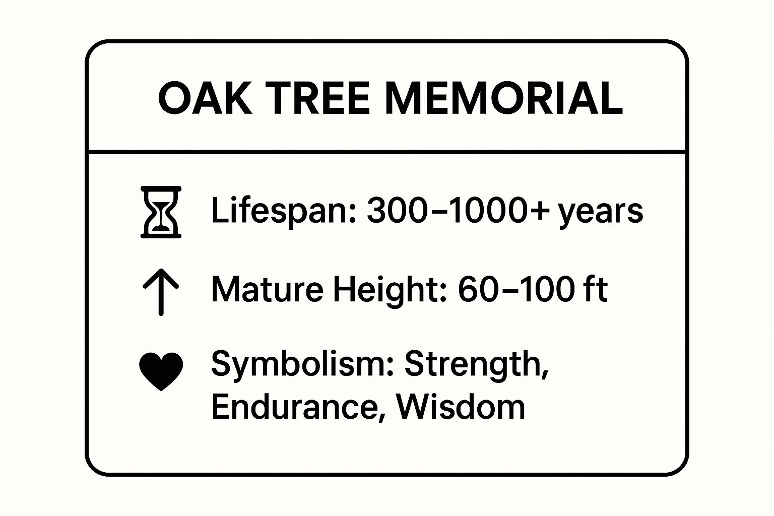 Infographic showing key data about Oak Tree Memorial