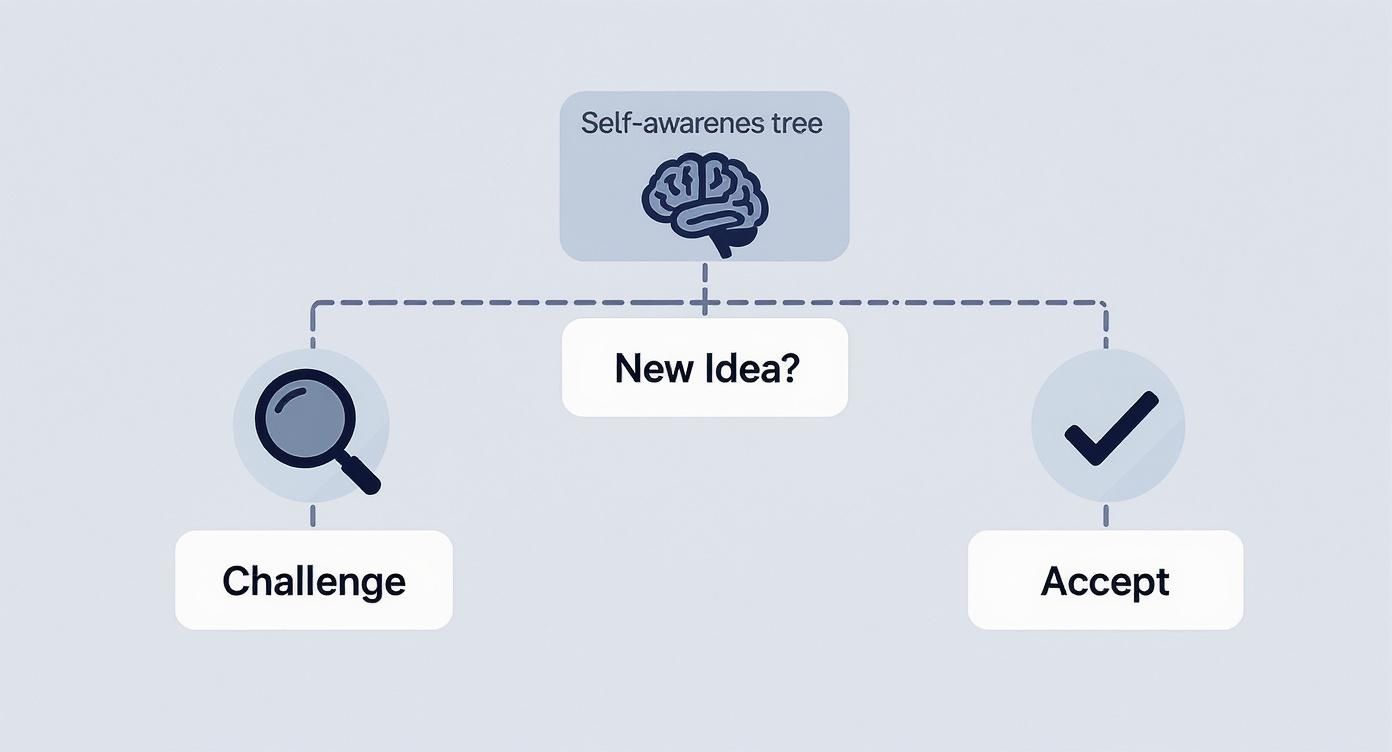 A self-awareness tree flowchart for evaluating new ideas, leading to challenge or acceptance.