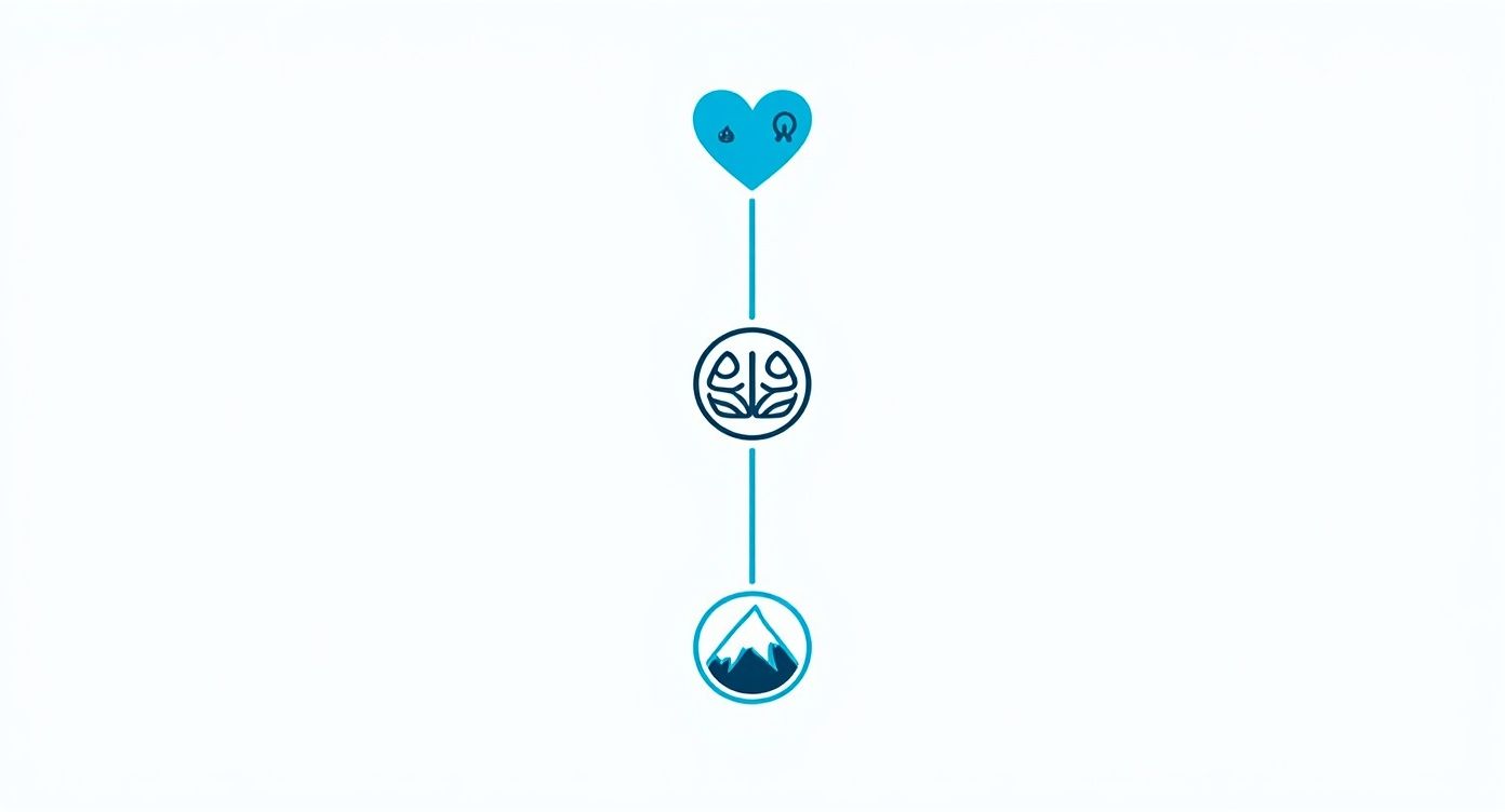 Infographic about inner work books