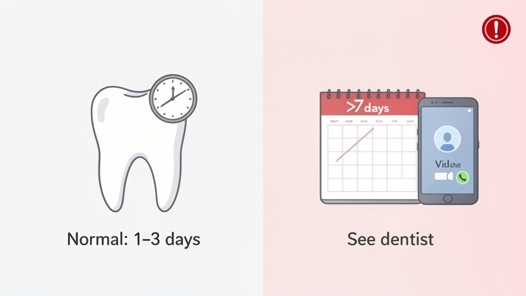 Illustration of tooth sensitivity timelines: normal (1-3 days) and when to contact a dentist (over 7 days).