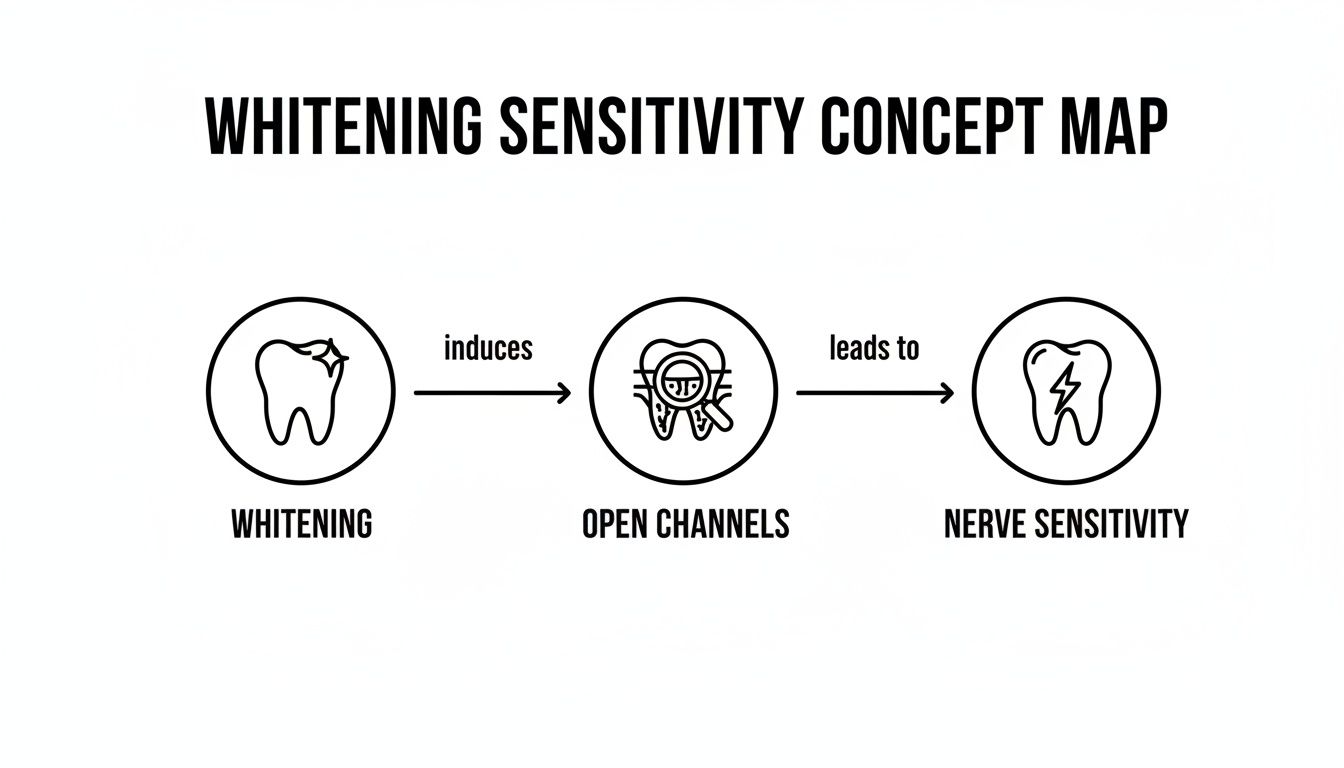 A concept map illustrating how teeth whitening leads to open channels and nerve sensitivity.