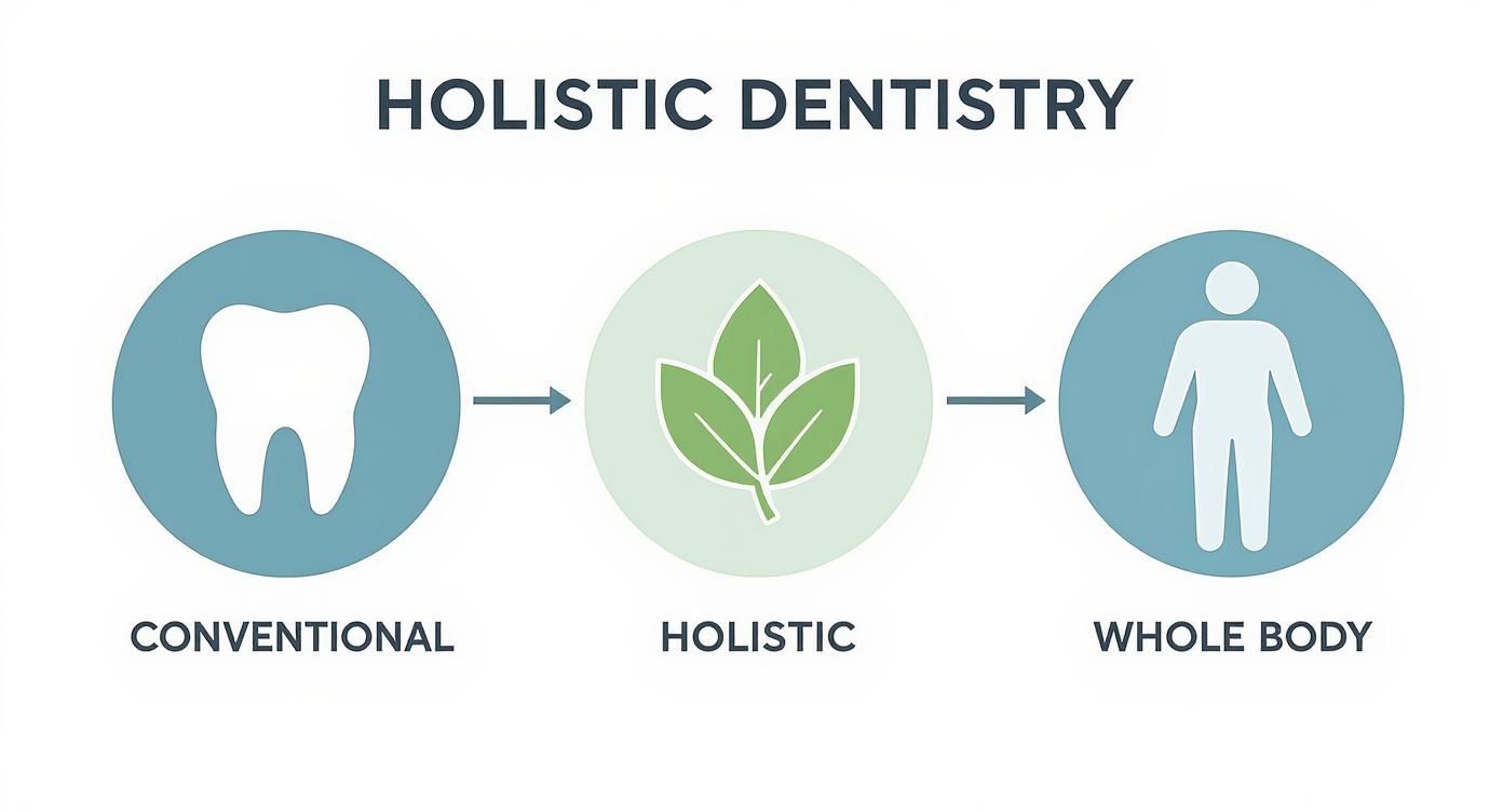 Infographic about what is holistic dentistry
