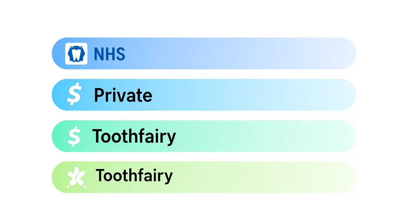 Four gradient buttons show dental care options: NHS, Private, and Toothfairy with icons.